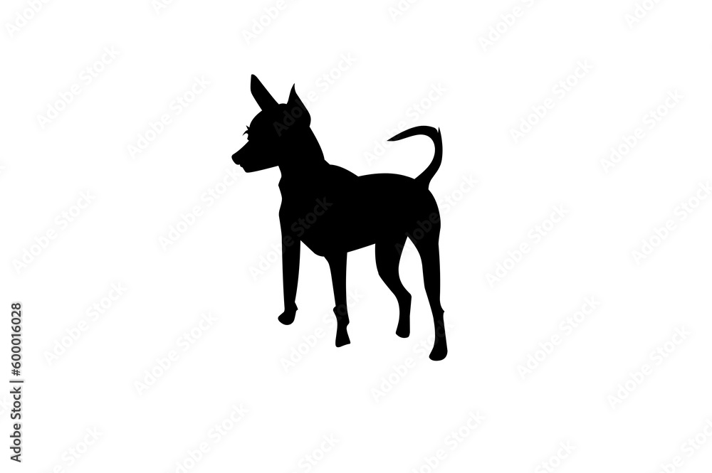 silhouette of a dog chihuahua