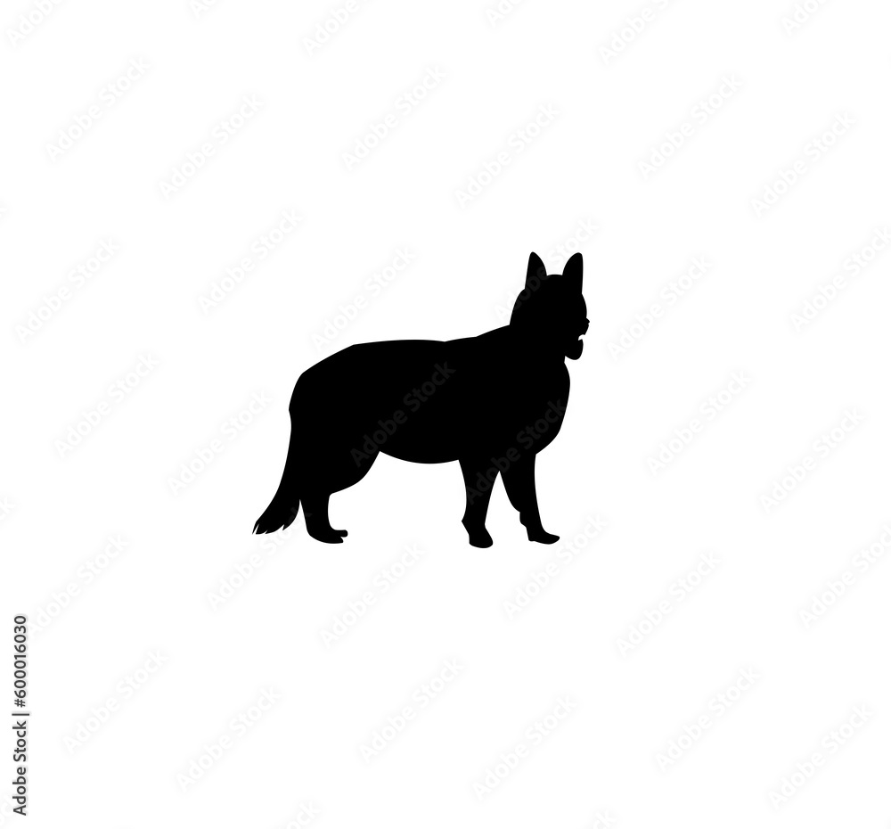 black silhouette of a dog short leg standing