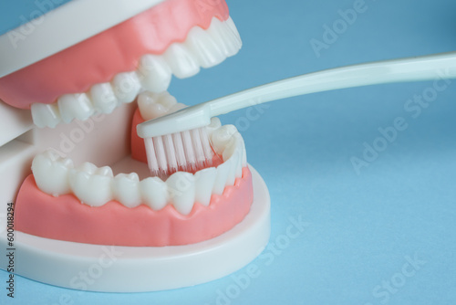 デンタルケア 歯科 歯磨き 歯科健診 歯鏡 