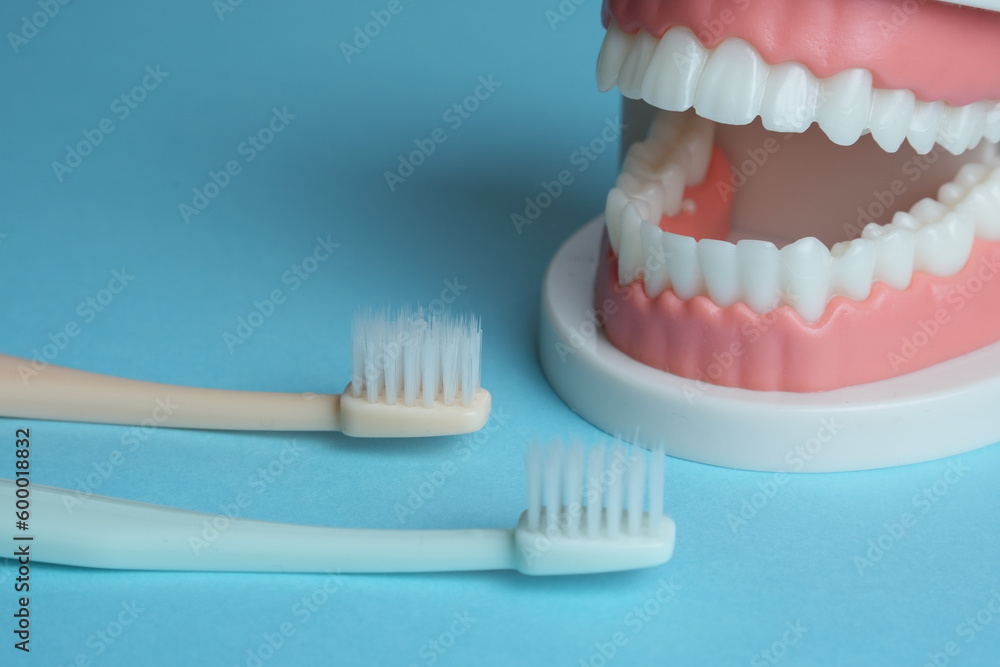 Obraz premium デンタルケア 歯科 歯磨き 歯科健診 歯ブラシ