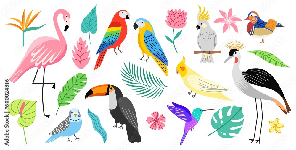 Exotic birds and tropical plants. Bright decorative plumage creatures, beautiful parrots and flamingo, monstera and palm leaves, vector set