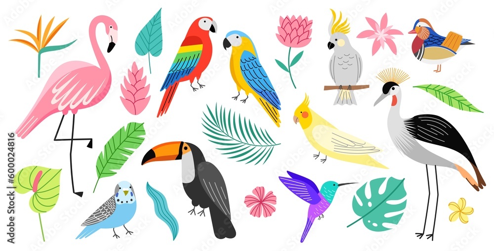 Fototapeta premium Exotic birds and tropical plants. Bright decorative plumage creatures, beautiful parrots and flamingo, monstera and palm leaves, vector set