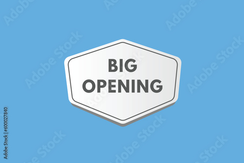 Big Opening text Button. Big Opening Sign Icon Label Sticker Web Buttons