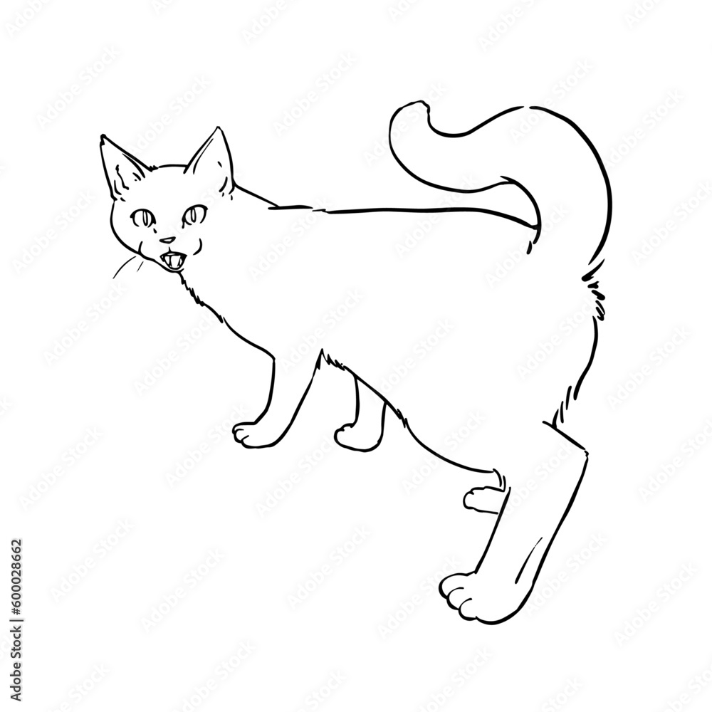 猫の線画 透過 猫の線画 透過
