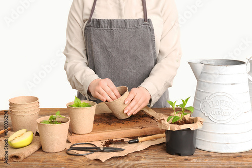 Woman planting green seedlings in peat pots at table on white background, closeup