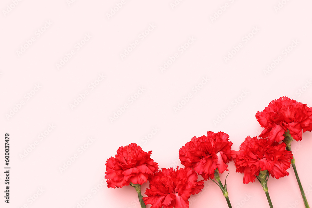 Red carnations on pink background