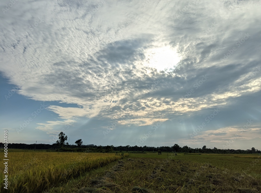 Naklejka premium clouds and sun