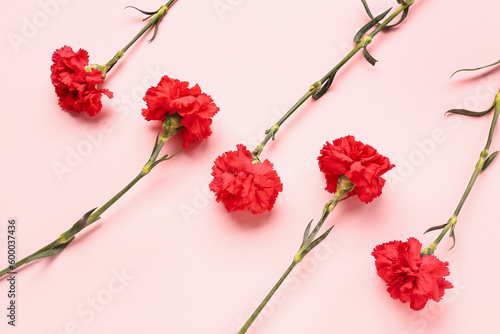 Red carnations on pink background