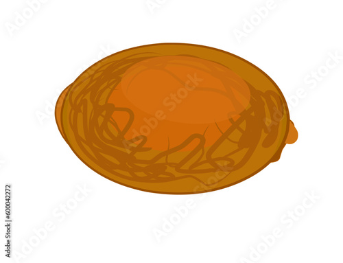 illustration, vector Intestinal worm eggs in human feces.