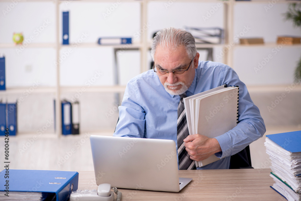 Old male employee working in the office Old male employee working in the office