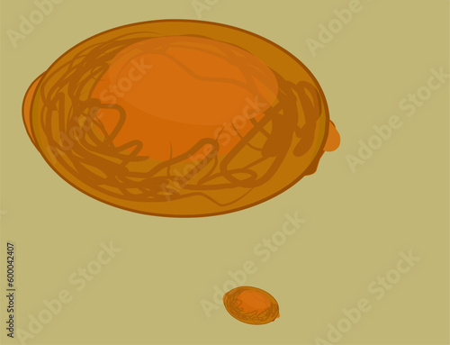 illustration, vector Intestinal worm eggs in human feces.