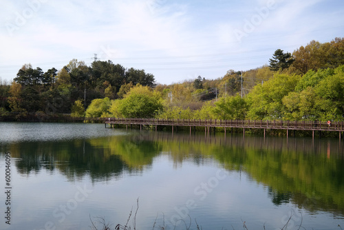 Trees and sky are reflected in the calm lake