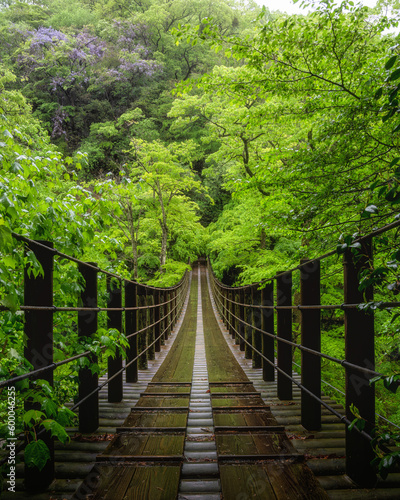 Fotografia 茨城県高萩市　新緑の花貫渓谷　汐見滝吊り橋