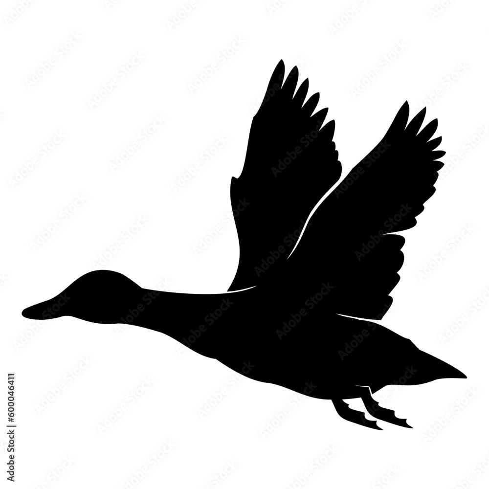 Fototapeta premium silhouette of a duck