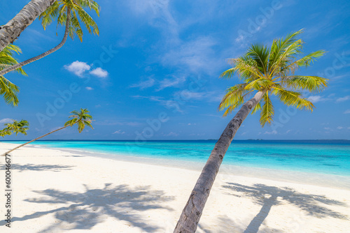Beautiful travel landscape Summer background nature of tropical paradise beach, sunlight palm tree leaves. Tranquil sand beach close-up, sea, blue sky, white clouds. Copy space exotic vacation concept © icemanphotos