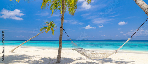 Fototapeta Naklejka Na Ścianę i Meble -  Tranquil relax beach as summer island landscape with beach swing or hammock on palm, freedom tropical sunny sea sky. Amazing beach panorama vacation and summer holiday concept. Inspire carefree travel