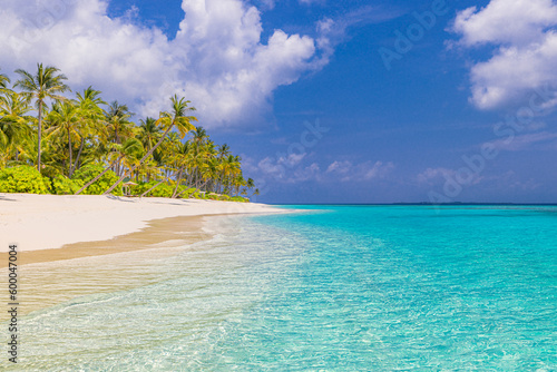 Fototapeta Naklejka Na Ścianę i Meble -  Paradise island beach. Tropical landscape of summer sea sand sky palm trees. Tranquil freedom travel vacation destination. Exotic beach landscape. Beautiful nature. Relax, idyllic amazing Maldives