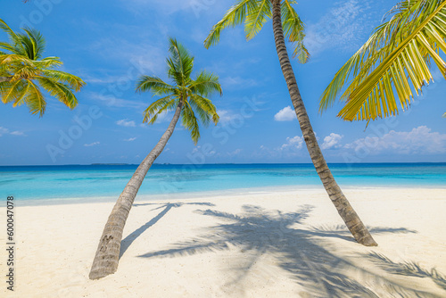Beautiful travel landscape Summer background nature of tropical paradise beach, sunlight palm tree leaves. Tranquil sand beach close-up, sea, blue sky, white clouds. Copy space exotic vacation concept © icemanphotos