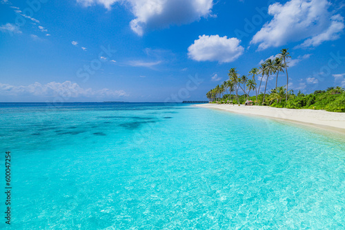 Paradise island beach. Tropical landscape of summer sea sand sky palm trees. Tranquil freedom travel vacation destination. Exotic beach landscape. Beautiful nature. Relax  idyllic amazing Maldives