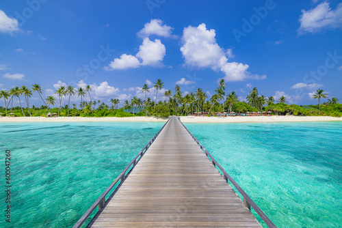 Best travel landscape, beautiful tropical island shore, wooden bridge pier into paradise beach. Palm trees, sunny blue sea sky. Tranquil vacation wallpaper, exotic amazing vacation destination scenic