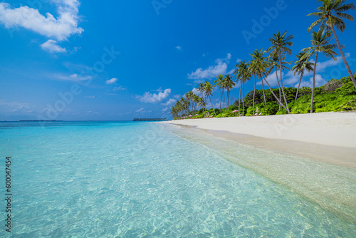 Paradise island beach. Tropical landscape of summer sea sand sky palm trees. Tranquil freedom travel vacation destination. Exotic beach landscape. Beautiful nature. Relax, idyllic amazing Maldives © icemanphotos