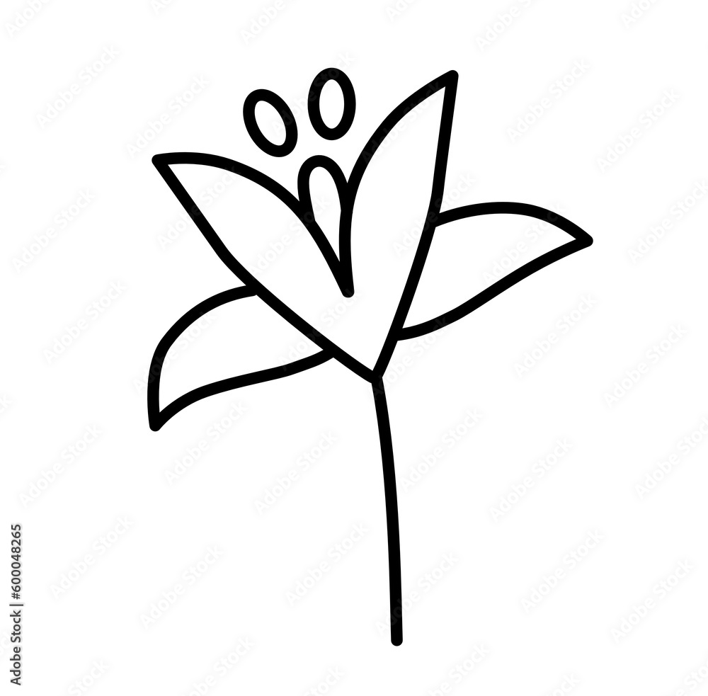 Cute lily outline icon Cute lily outline icon