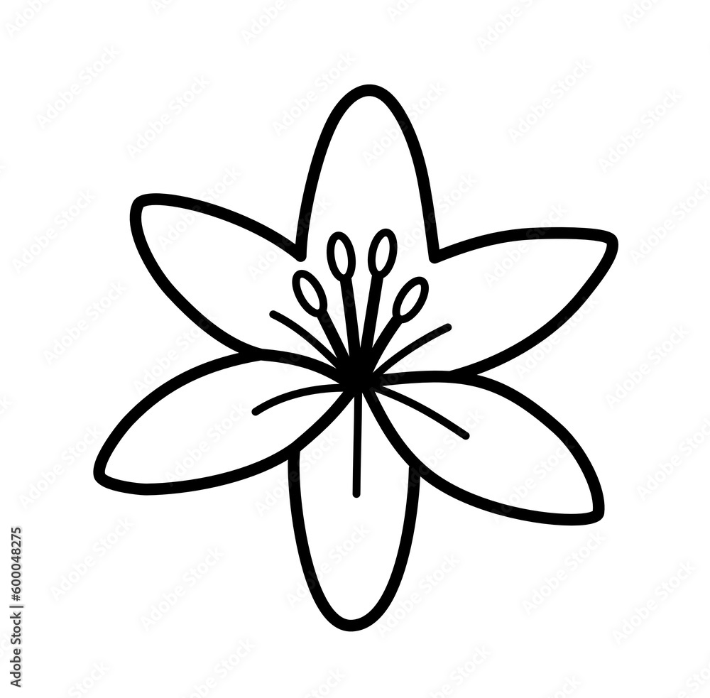 Cute lily outline icon Cute lily outline icon