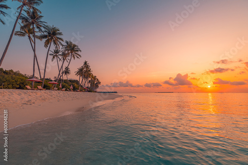 Fototapeta Naklejka Na Ścianę i Meble -  Tranquil closeup calm sea water waves with palm trees. Soft colors sunrise sunset sunlight. Tropical island beach landscape exotic shore coast. Summer vacation, holiday amazing nature. Relax paradise