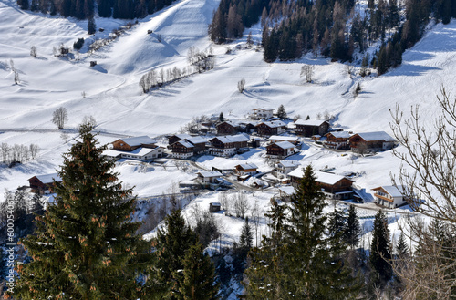 Virgen, Virgental, Winter, verschneit, Schnee, weiß, Weiler, Bauernhof, Gehöft, Tradition, Jahreszeit, Lasörlinggruppe, Berg, Welzelach, Rain, Gries, Niedermauern, Iseltal, Isel, Baum, kahl, Laubbaum, photo