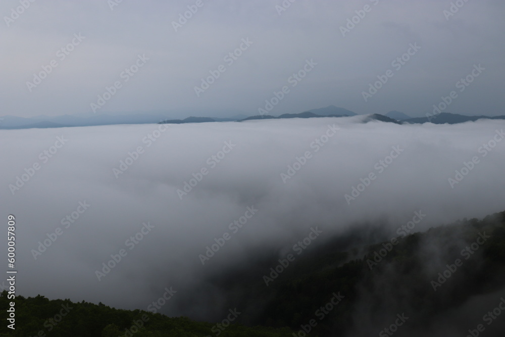 sea of clouds sea of clouds