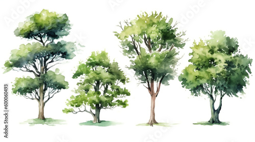 Watercolor trees on white background. Generative AI