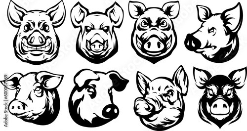 Pig head mascot. Swine logo. Hog illustration set.