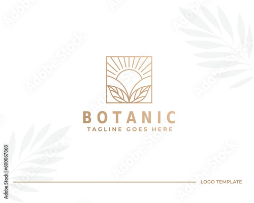 Tree of Life logo line icon. Abstract nature branch leaves symbol. Garden plant botanical eco sign. Vector illustration.