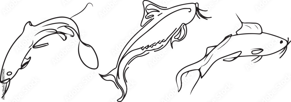 Obraz premium catfish Line art vector silhoutte 