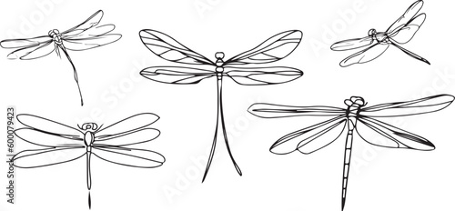 Dragonfly Line art vector silhoutte 