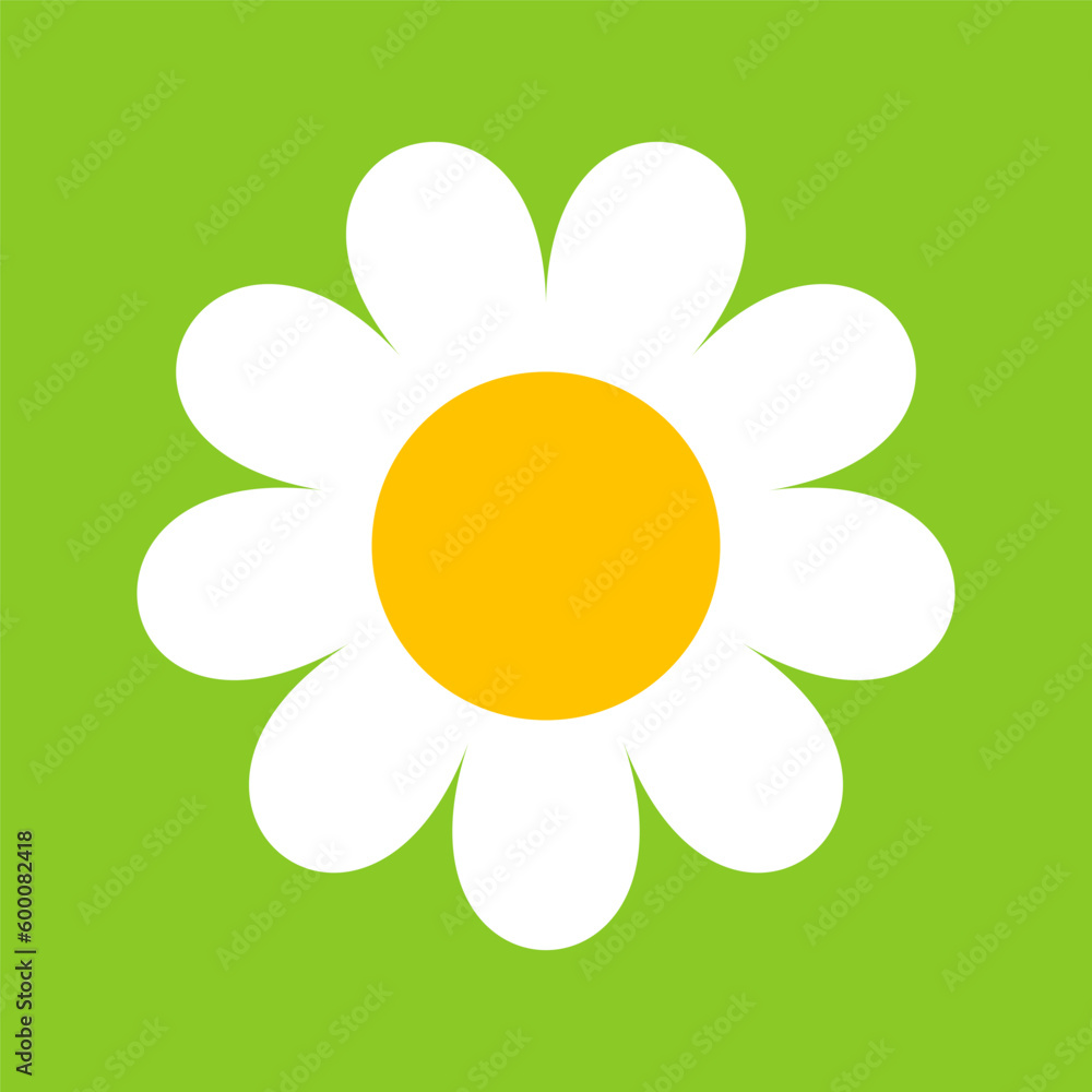 Camomile, flower great design for any purposes. Cartoon illustration with white camomile on green background. Camomile, flower great design for any purposes. Cartoon illustration with white camomile on green background.