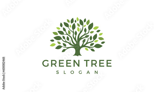 Green Tree Logo - Vector Tree Nature Park Growth and Charity Symbol 
