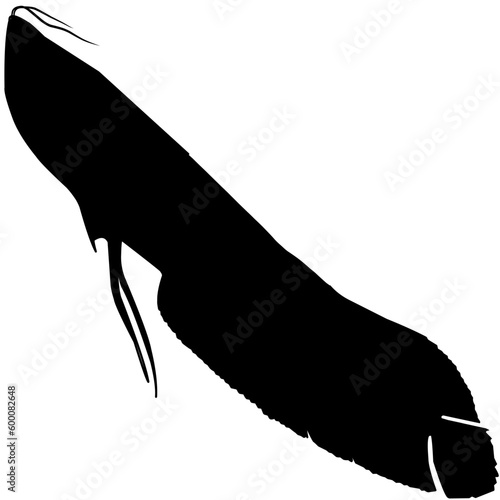 silhouette of nirvana fish