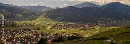 Kaysersberg vignoble sur le piémont vosgien, Alsace, CeA, Grand Est, France