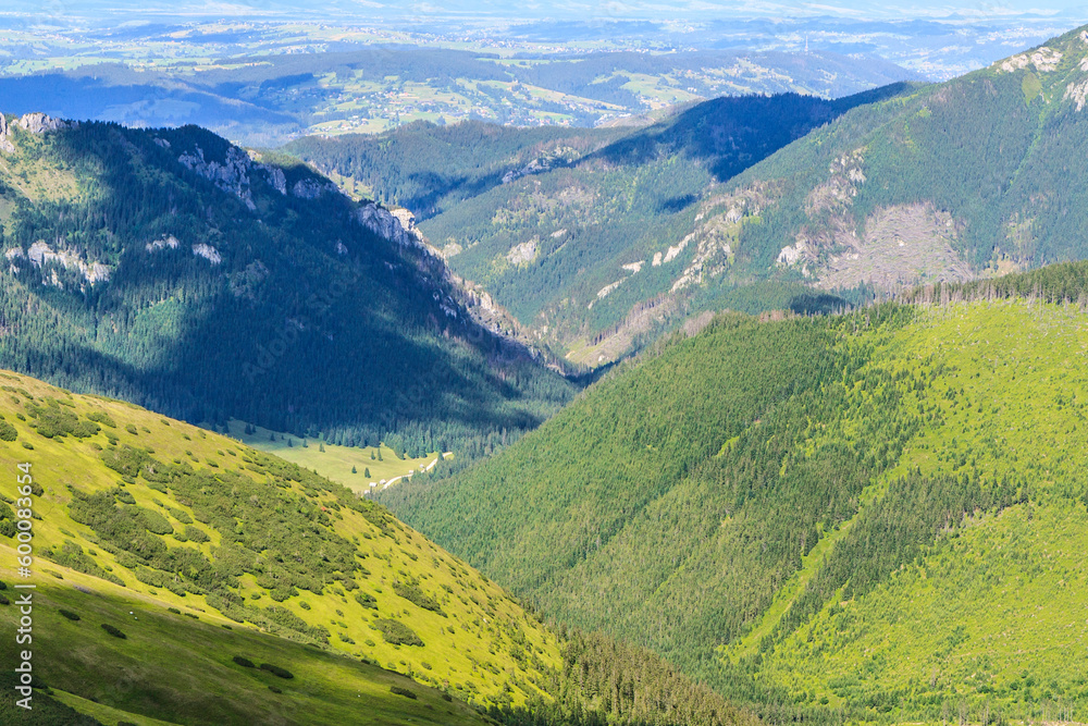 A view from the Wołowiec (Volovec) peak in the main ridge of the Western Tatras to the Chochołowska Valley (and Polana Chochołowska) on a sunny summer day.
