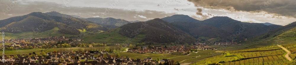 Le massif vosgien vu depuis le Mont de Sigolsheim, Kaysersberg vignoble, Alsace, CeA, Grand Est, France