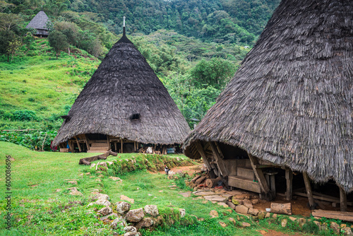 panoramic view of wae rebo village, indonesia photo