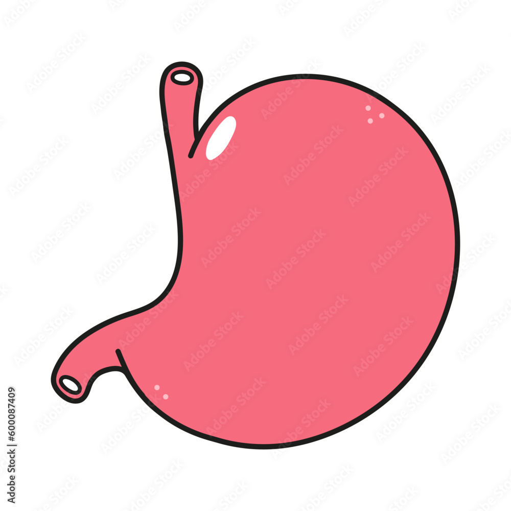 Cute funny Stomach character. Vector hand drawn traditional cartoon vintage, retro, kawaii character illustration icon. Isolated on white background. Stomach character concept Cute funny Stomach character. Vector hand drawn traditional cartoon vintage, retro, kawaii character illustration icon. Isolated on white background. Stomach character concept