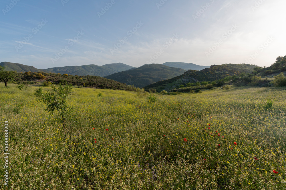 Grass meadow in the mountains of southern Granada