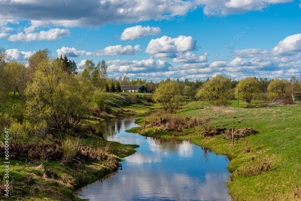 Springtime forest with trees with young green leaves. Aerial spring landscape. Rural scene. Springtime forest with trees with young green leaves. Aerial spring landscape. Rural scene.
