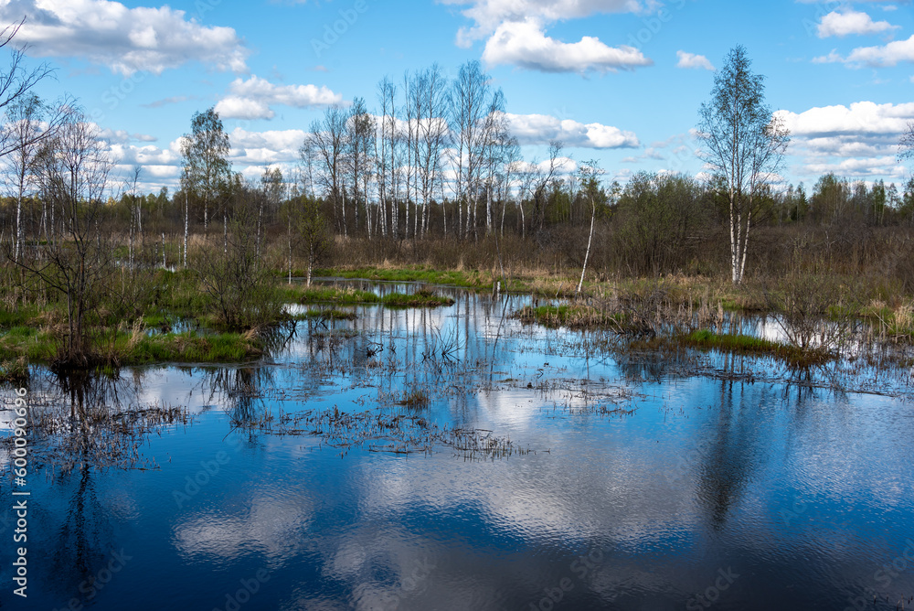 Springtime forest with trees with young green leaves. Aerial spring landscape. Reflections in water. Springtime forest with trees with young green leaves. Aerial spring landscape. Reflections in water.