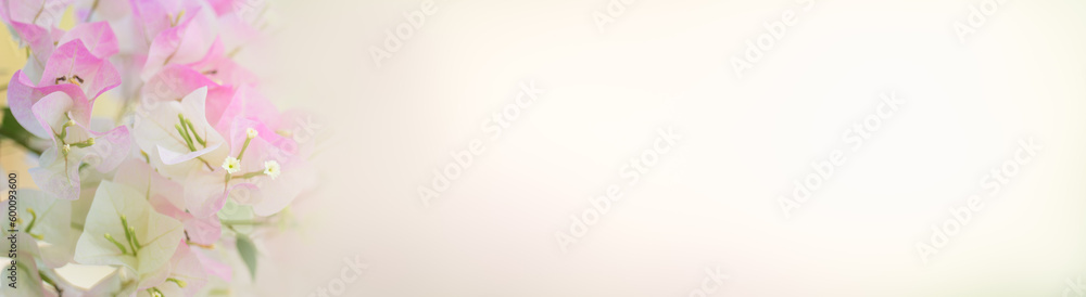 Nature of flower in garden using as cover page background natural flora wallpaper or template brochure landing page design Nature of flower in garden using as cover page background natural flora wallpaper or template brochure landing page design