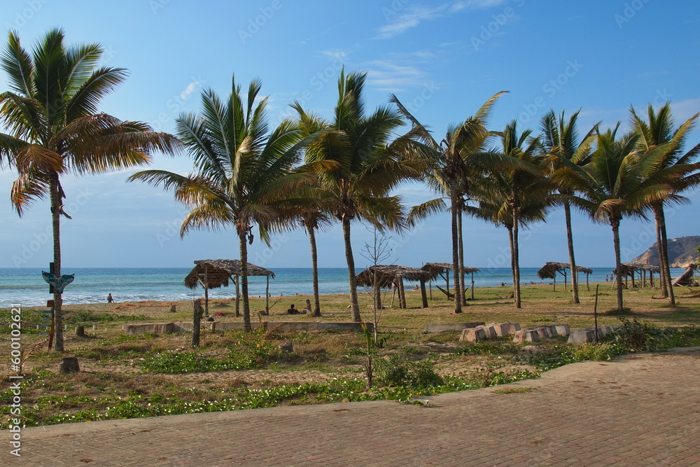 Palm trees at the beach in Puerto Lopez, Manabi Province, Ecuador, South America
