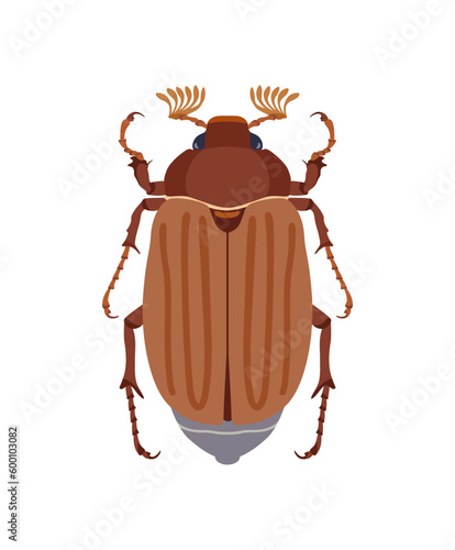Chafer, May beetle. Vector illustration in cartoon style isolated on white background.