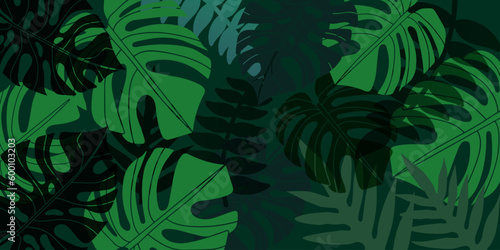 Tropical leaf Wallpaper, Luxury nature leaves pattern design. vector eps.10